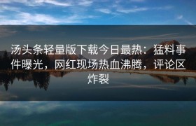 汤头条轻量版下载今日最热：猛料事件曝光，网红现场热血沸腾，评论区炸裂