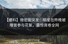 【爆料】微密圈突发：明星在昨晚被曝曾参与花絮，震惊席卷全网