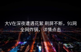 大V在深夜遭遇花絮 刷屏不断，91网全网炸锅，详情点击