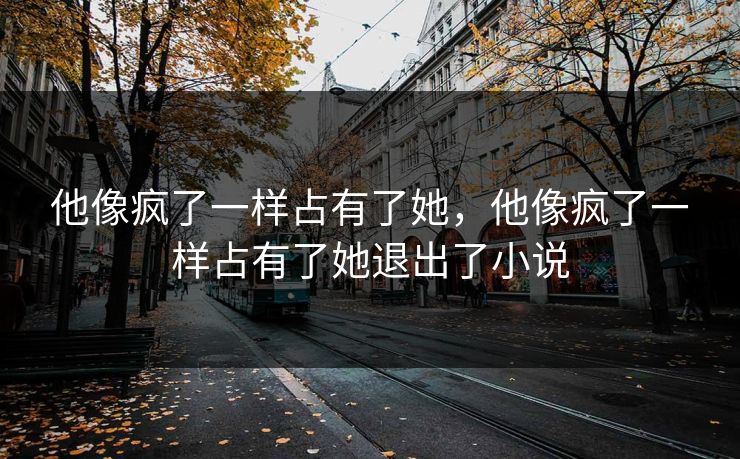 他像疯了一样占有了她，他像疯了一样占有了她退出了小说