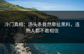 冷门真相：汤头条竟然牵扯黑料，连熟人都不敢相信