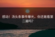 感动！汤头条事件曝光，你还敢看第二遍吗？