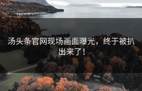 汤头条官网现场画面曝光，终于被扒出来了！