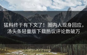 猛料终于有下文了！圈内人现身回应，汤头条轻量版下载热议评论数破万