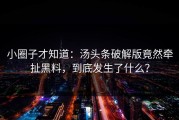 小圈子才知道：汤头条破解版竟然牵扯黑料，到底发生了什么？