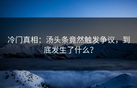 冷门真相：汤头条竟然触发争议，到底发生了什么？