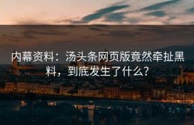 内幕资料：汤头条网页版竟然牵扯黑料，到底发生了什么？