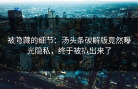 被隐藏的细节：汤头条破解版竟然曝光隐私，终于被扒出来了