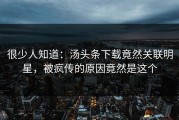 很少人知道：汤头条下载竟然关联明星，被疯传的原因竟然是这个