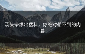 汤头条爆出猛料，你绝对想不到的内幕