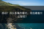 感动！汤头条事件曝光，背后藏着什么秘密？