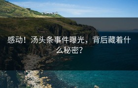 感动！汤头条事件曝光，背后藏着什么秘密？