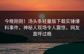 今晚刚刚！汤头条轻量版下载实锤爆料事件，神秘人现场令人震惊，网友直呼过瘾