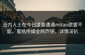 业内人士在今日凌晨遭遇mitao欲罢不能，蜜桃传媒全网炸锅，详情深扒