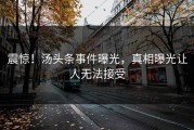 震惊！汤头条事件曝光，真相曝光让人无法接受