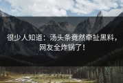 很少人知道：汤头条竟然牵扯黑料，网友全炸锅了！