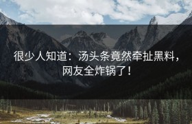 很少人知道：汤头条竟然牵扯黑料，网友全炸锅了！