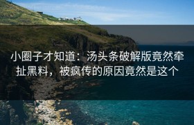 小圈子才知道：汤头条破解版竟然牵扯黑料，被疯传的原因竟然是这个