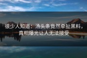 很少人知道：汤头条竟然牵扯黑料，真相曝光让人无法接受