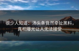 很少人知道：汤头条竟然牵扯黑料，真相曝光让人无法接受