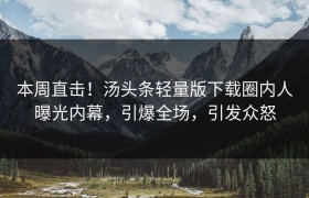 本周直击！汤头条轻量版下载圈内人曝光内幕，引爆全场，引发众怒