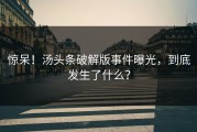 惊呆！汤头条破解版事件曝光，到底发生了什么？
