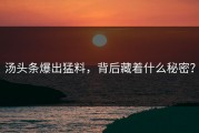 汤头条爆出猛料，背后藏着什么秘密？