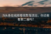 汤头条在线观看完整版流出，你还敢看第二遍吗？