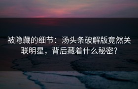 被隐藏的细节：汤头条破解版竟然关联明星，背后藏着什么秘密？