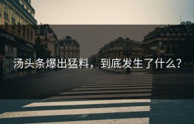 汤头条爆出猛料，到底发生了什么？