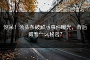 惊呆！汤头条破解版事件曝光，背后藏着什么秘密？