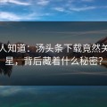 很少人知道：汤头条下载竟然关联明星，背后藏着什么秘密？