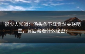 很少人知道：汤头条下载竟然关联明星，背后藏着什么秘密？