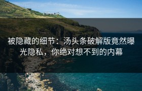 被隐藏的细节：汤头条破解版竟然曝光隐私，你绝对想不到的内幕