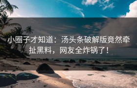 小圈子才知道：汤头条破解版竟然牵扯黑料，网友全炸锅了！