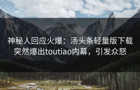神秘人回应火爆：汤头条轻量版下载突然爆出toutiao内幕，引发众怒