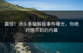 震惊！汤头条破解版事件曝光，你绝对想不到的内幕