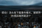 感动！汤头条下载事件曝光，被疯传的原因竟然是这个