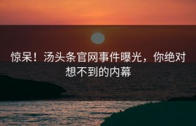 惊呆！汤头条官网事件曝光，你绝对想不到的内幕