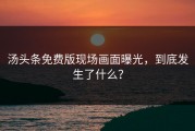 汤头条免费版现场画面曝光，到底发生了什么？