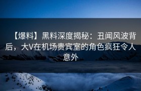 【爆料】黑料深度揭秘：丑闻风波背后，大V在机场贵宾室的角色疯狂令人意外