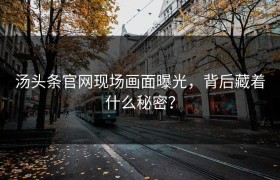 汤头条官网现场画面曝光，背后藏着什么秘密？