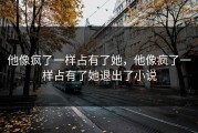 他像疯了一样占有了她，他像疯了一样占有了她退出了小说