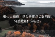 很少人知道：汤头条竟然关联明星，背后藏着什么秘密？