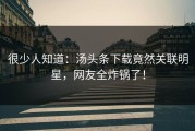 很少人知道：汤头条下载竟然关联明星，网友全炸锅了！