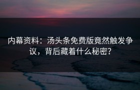 内幕资料：汤头条免费版竟然触发争议，背后藏着什么秘密？
