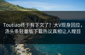 Toutiao终于有下文了！大V现身回应，汤头条轻量版下载热议真相让人瞠目