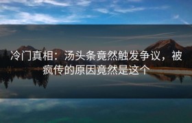 冷门真相：汤头条竟然触发争议，被疯传的原因竟然是这个