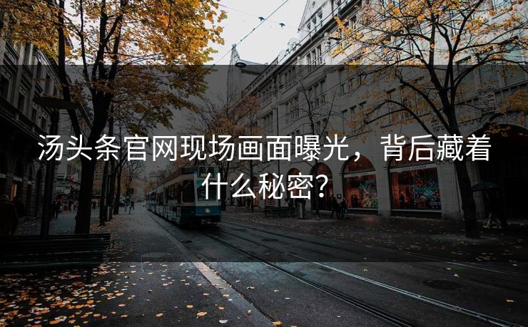 汤头条官网现场画面曝光，背后藏着什么秘密？