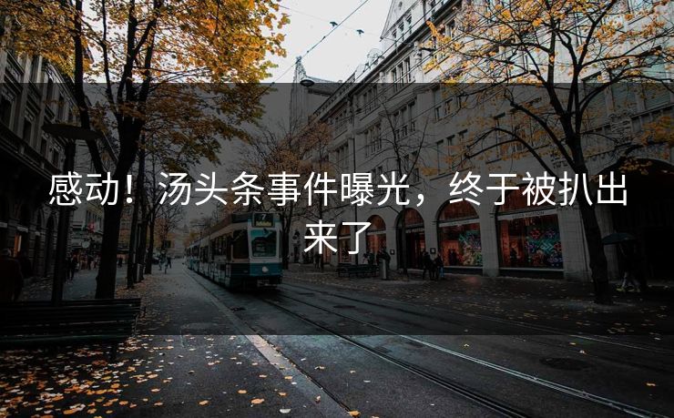 感动！汤头条事件曝光，终于被扒出来了